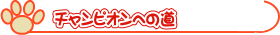 チャンピオンへの道
